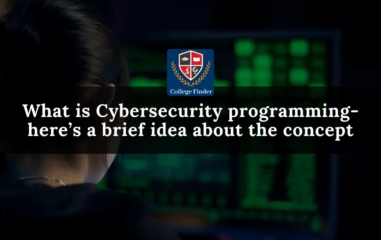 What is Cybersecurity programming- here’s a brief idea about the concept