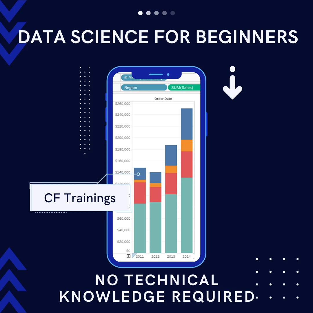 Data Science Course for Beginners Ad Image