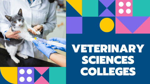 all veterinary science colleges